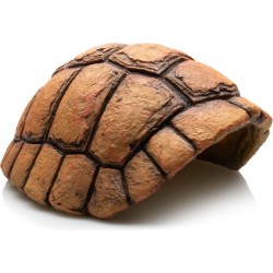 CARAPACE DE TORTUE- GROTTE...