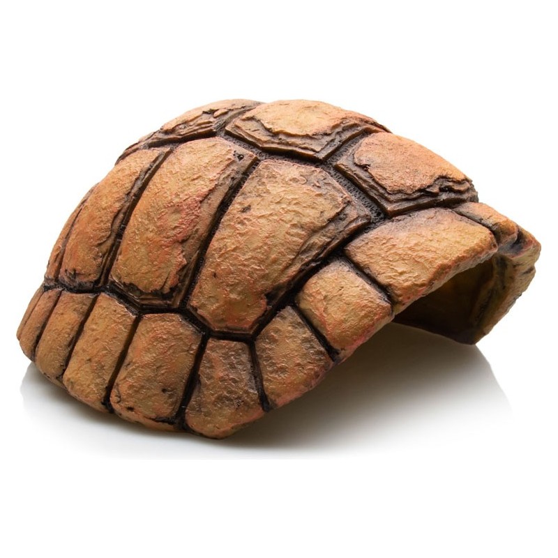 CARAPACE DE TORTUE- GROTTE 20 X 17 X 9