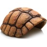 CARAPACE DE TORTUE- GROTTE 20 X 17 X 9