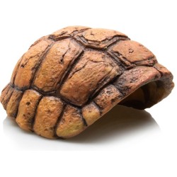 CARAPACE DE TORTUE- GROTTE...