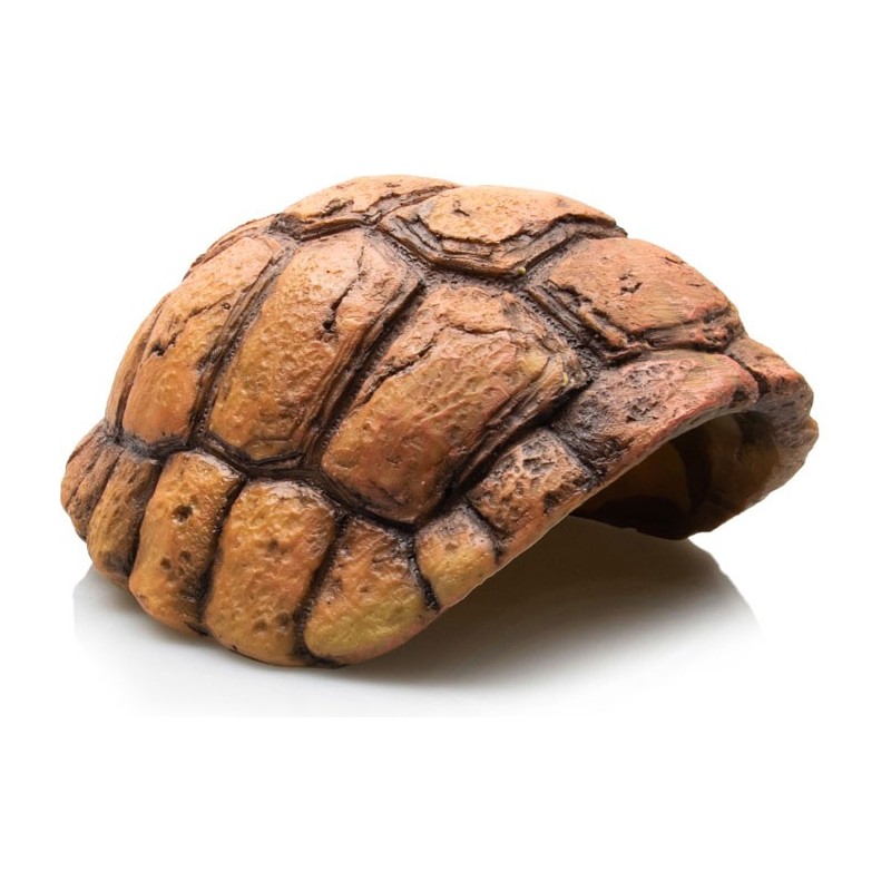 CARAPACE DE TORTUE- GROTTE 15X 12.3 X 7.5