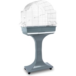 CAGE CHIARA BLANCHE+PIED...