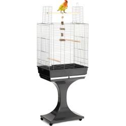 CAGE SORAYA GALVANISE +...