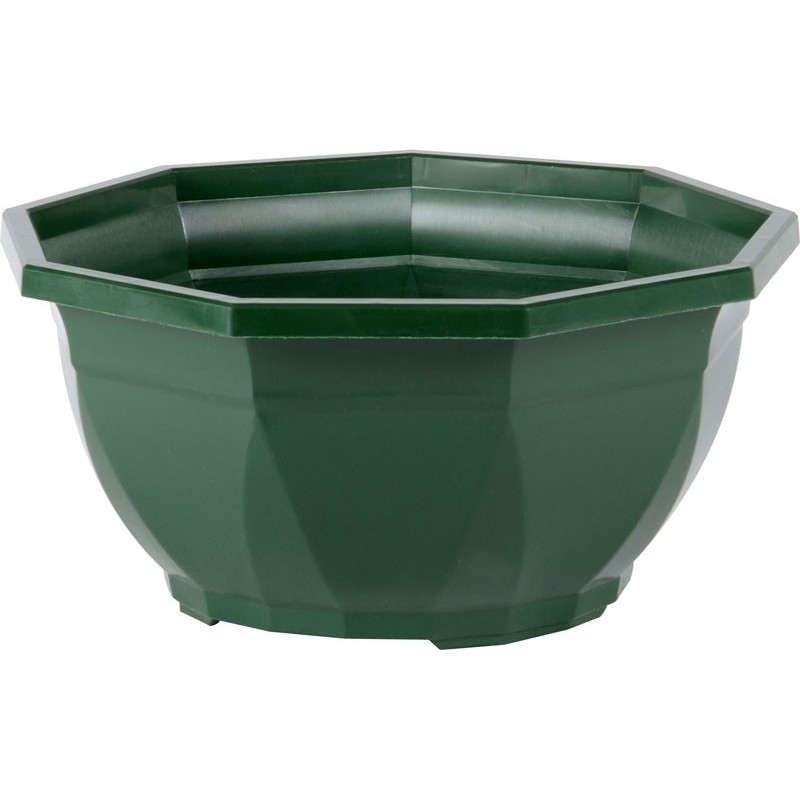 COUPE AERIA Ø27 CM PERCEE VERT CANADA