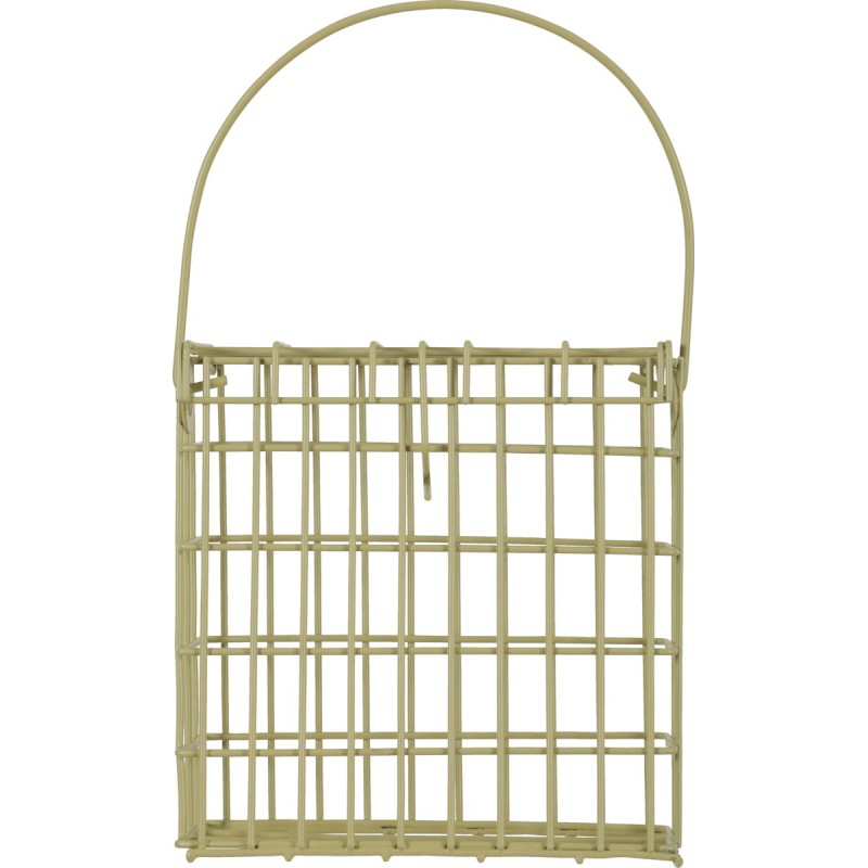 SUPPORT PAIN GRAIS LICHEN