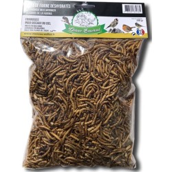 VERS DE FARINE SECHES...