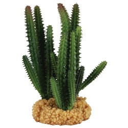 !!!!! DECOR PLANTE "CACTUS"...