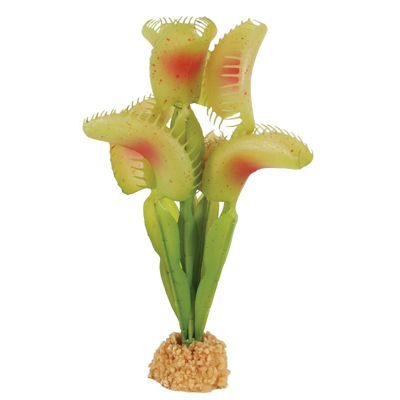 !!!!! DECOR PLANTE CARNIVORE  (6pc/ctn) fds