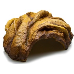 !!!!!    CACHETTE LIANA...