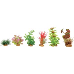 DECOR PLANT BOIT MIX X6 MOD1  (6pc/ctn)