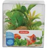 DECOR PLANT BOIT MIX X6 MOD2  (6pc/ctn)