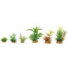 DECOR PLANT BOIT MIX X6 MOD2  (6pc/ctn)