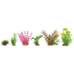 DECOR PLANT BOIT MIX X6 MOD4  (6pc/ctn)