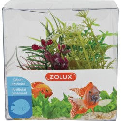 DECOR PLANT BOIT MIX X4...