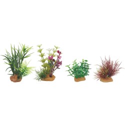 DECOR PLANT BOIT MIX X4 MOD4  (6pc/ctn)