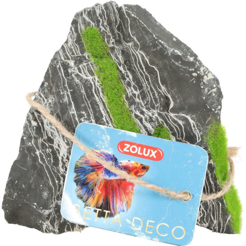 BICOLORE STONE KIPOUSS M