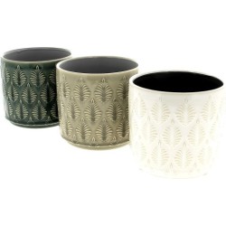 C. POT ORCHID ASS 3 D14...