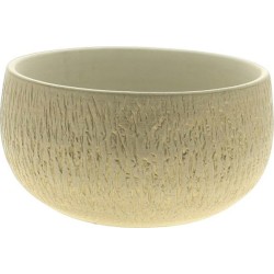 COUPE LIEGE CARAMEL D25 H12CM