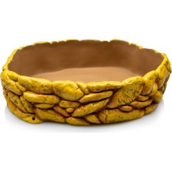 GAMELLE REPTILE L 27X22x7