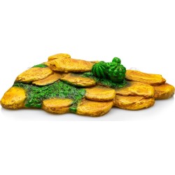 PLATEFORME TORTUE 24x18x6