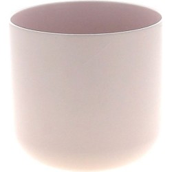 C.POT PADDLE DT11.5 H11 ROSE