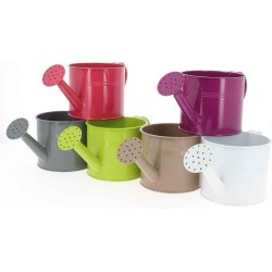 ARROSOIR ZINC ASST 6 D10 H8,5CM