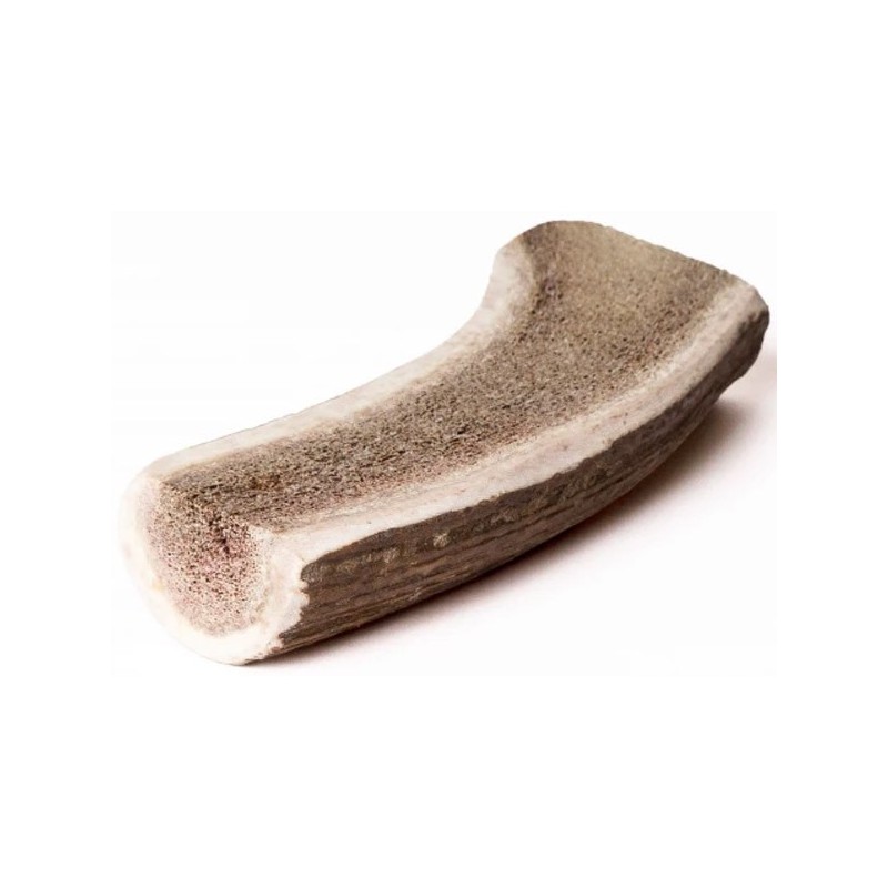 BOIS DE CERF TRANCHE TAILLE XL**WELT