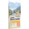 DOG CHOW COMPLET SAUMON 14KG 