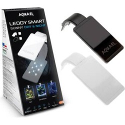 LEDDY SMART 4,8W SUNNY D&N...