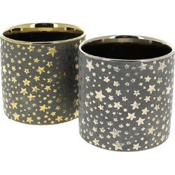 C.POT ORICHI09 ETOILE D10.5...