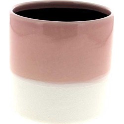 C.POT D10.3 H10.5CM ROSE