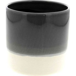 C.POT ORCHID12 D13.3...