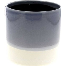 C.POT ORCHID12 D13.3...