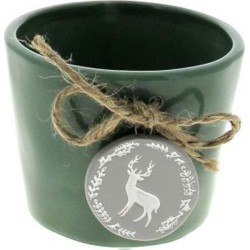 C.POT RENNE D10.2 H8CM VERT