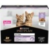 !!!!!  PROPLAN POCHON NUTRISAVOUR JUNIOR DINDE TERRINE (10 x 85gr)** remplace NUTJUMO