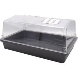 DISPLAY MINI-SERRE ASSORTI