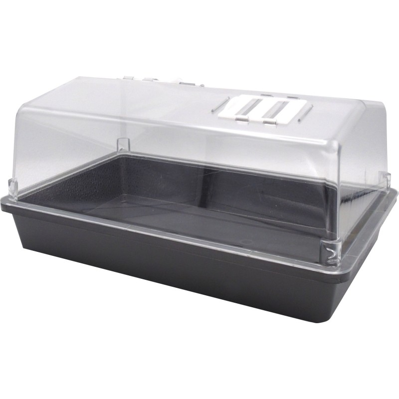 DISPLAY MINI-SERRE ASSORTI