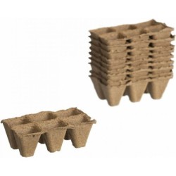 POT BIO H5X5X5CM (10X6)