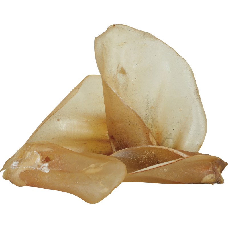 OREILLES DE BOEUF X50