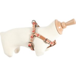 HARN REG IMAO SCOTT 20MM RGE