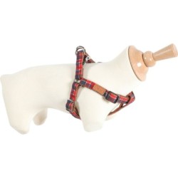 HARN REG IMAO SCOTT 20MM BLM