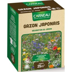 GAZON JAPONAIS 0,5 KG   25m2