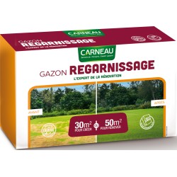 GAZON REGARNISSAGE  1KG...