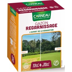 GAZON REGARNISSAGE  500GR...