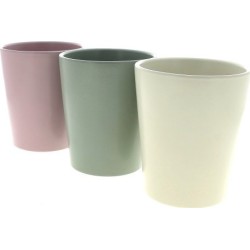 C.POT ORCHID 12 ASS 3 D13.5...