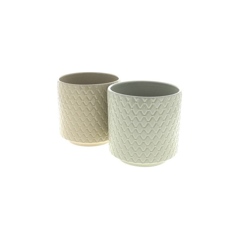 C.POT ORCHID12 ASS 2 D13.4 H12.8 CM