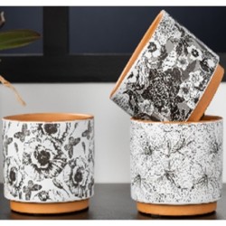 C.POT ASST 3 DESIGNS...