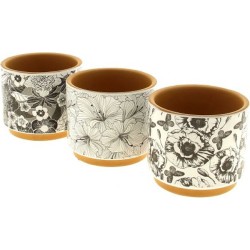 C.POT ASST 3 DESIGNS...