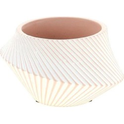 ROSE C.POT D17.2 H10CM