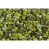 !!!! GRAVIER NEON MIX VERT FONCE/CLAIR 1KG